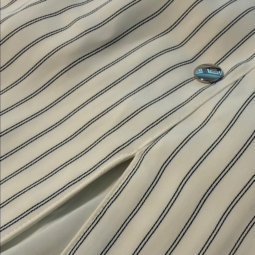 Express Cream and Black Striped Pencil Skirt - Picture 3 of 5